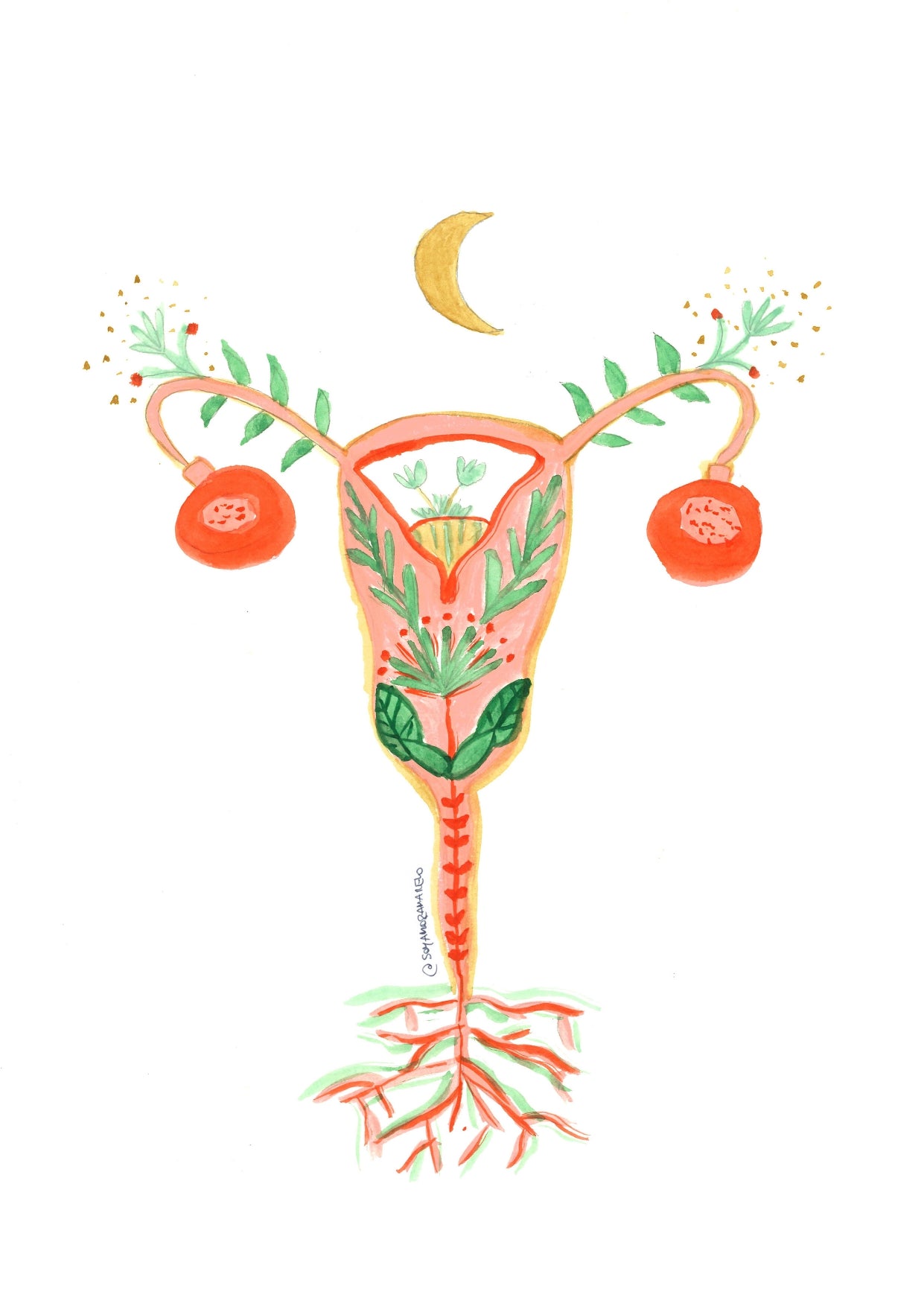 Ilustraciones "Mix de ilus"